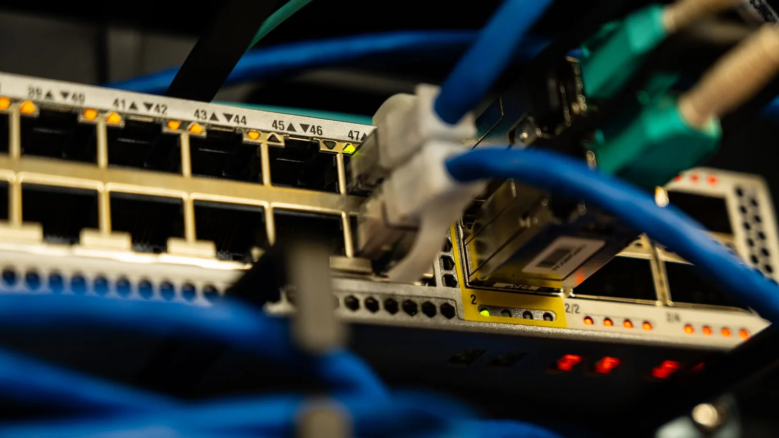 Blue ethernet cables plugged into a network switch
